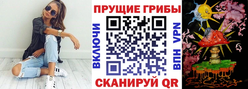 Псилоцибиновые грибы мицелий  Купить где  Нестеров 